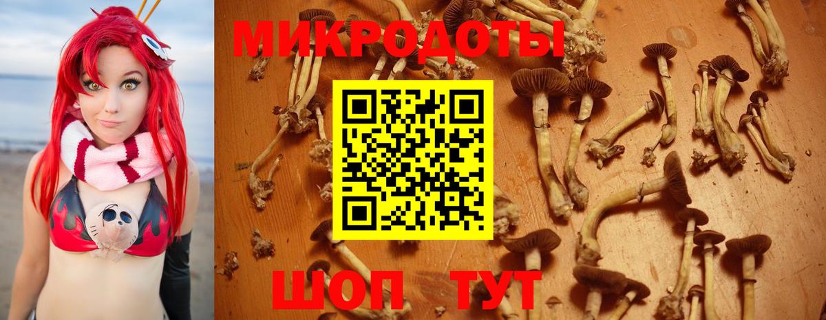 Галлюциногенные грибы мицелий Жигулёвск
