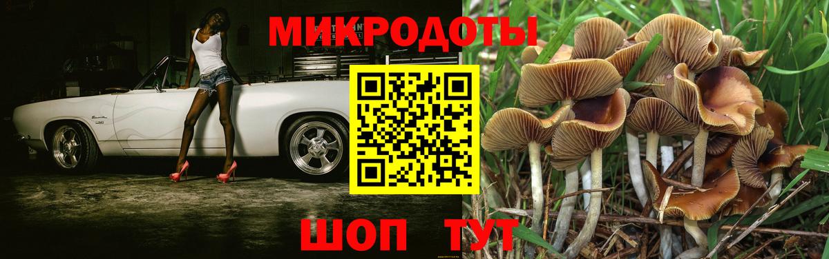Жигулёвск  Галлюциногенные грибы Cubensis  Вход с VPN 